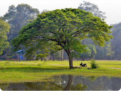 Discover true Cambodia