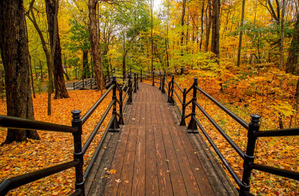 Treasured beauty Canada