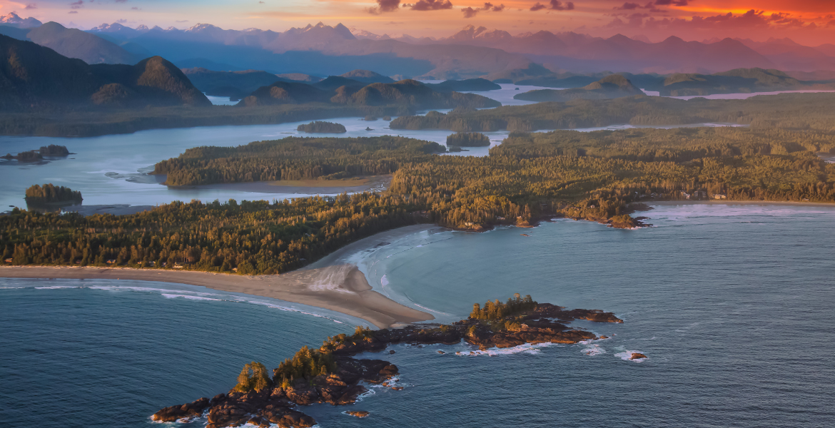 Tofino