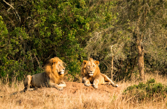 Akagera National Park Akagera National Park