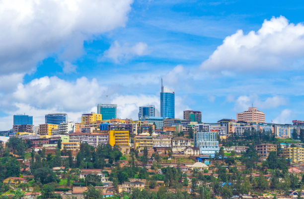 Let Exploring The Wildlife And You’ll Fall In Love With Rwanda! Let Exploring The Wildlife And You’ll Fall In Love With Rwanda!